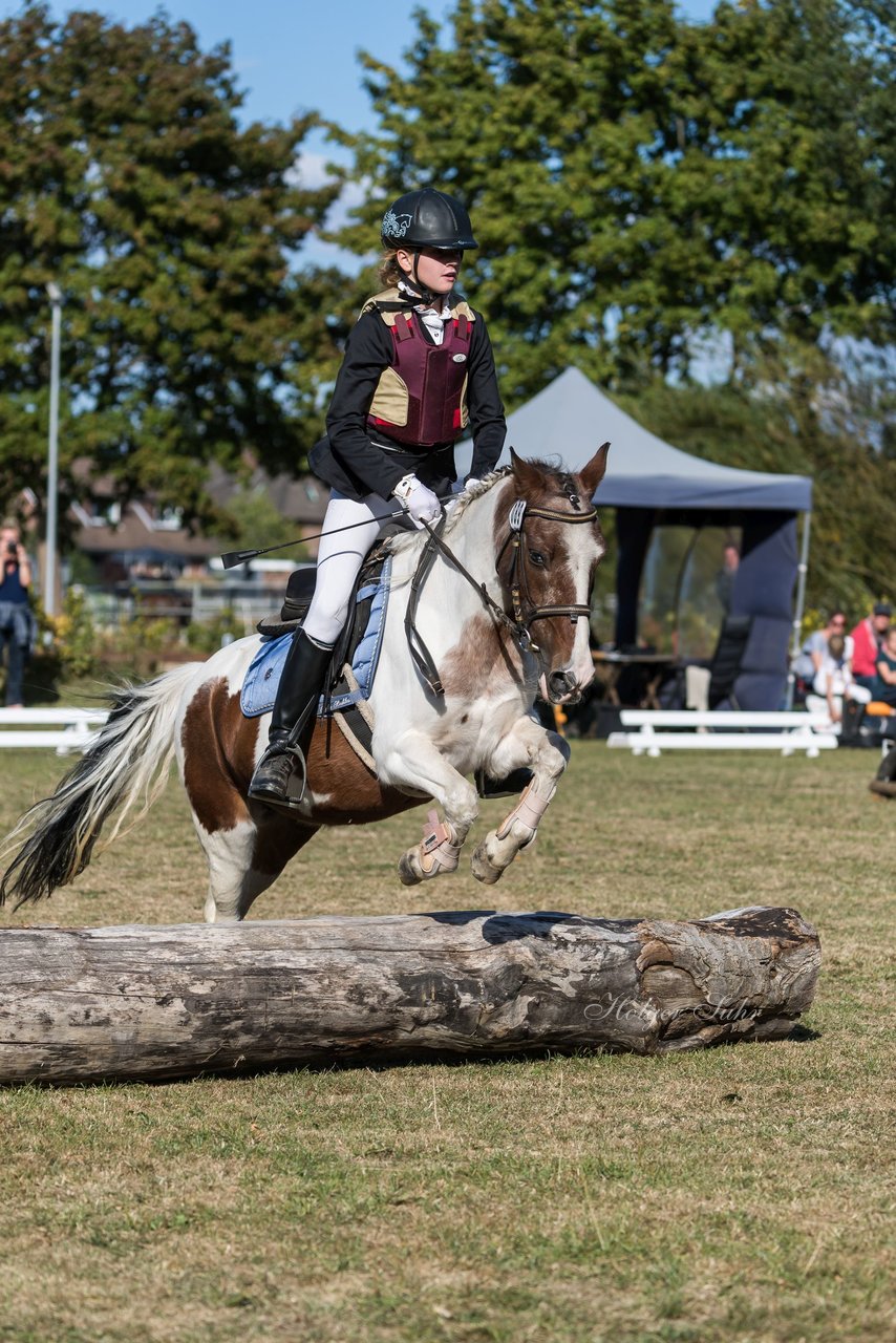 Bild 233 - Pony Akademie Turnier